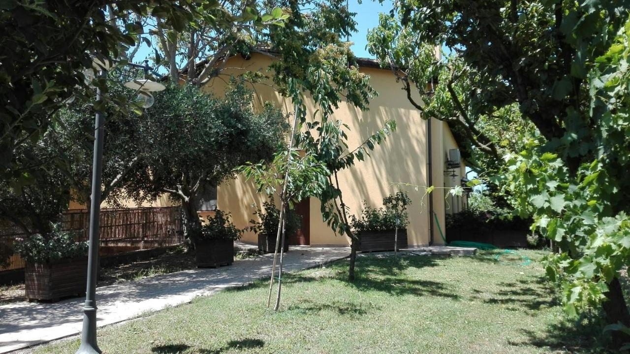 Agriturismo Il Casale Morrovalle ภายนอก รูปภาพ